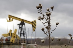 Добыча нефти в РФ за 2014 год выросла на 0,7%