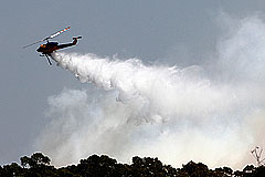 Жара в Австралии приблизилась к 45 градусам по Цельсию