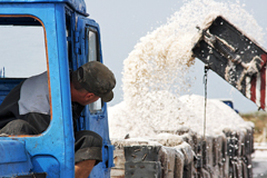 Роспотребнадзор опроверг информацию о запрете белорусской и украинской соли