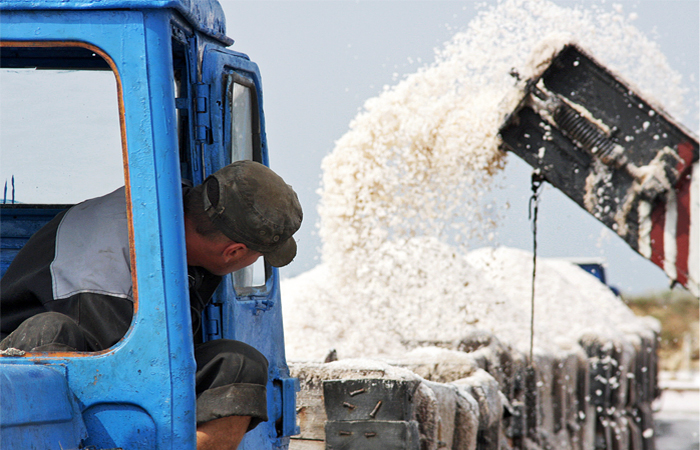 Роспотребнадзор опроверг информацию о запрете белорусской и украинской соли