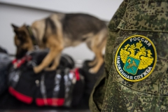 ФТС предложила взять на себя проверку качества и безопасности импорта в РФ