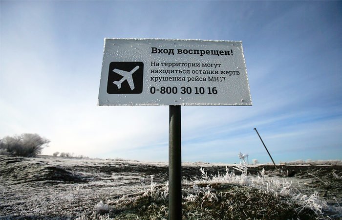 Нидерланды опубликовали часть документов о крушении "Боинга" на Украине