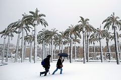 Снегопады накрыли Ближний Восток