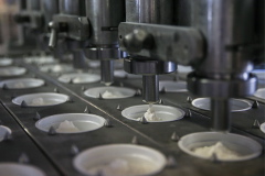 Роспотребнадзор приостановил ввоз сыров из Польши