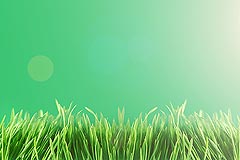 Индекс РТС в феврале вырос более чем на 20%