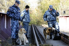 Мэр Йошкар-Олы нашелся и вернулся домой