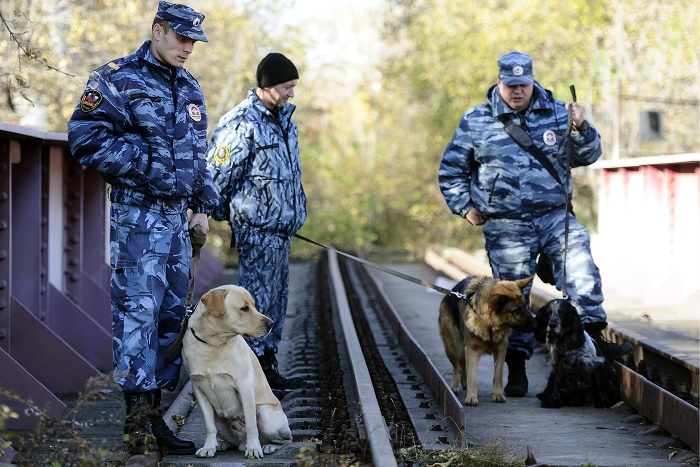 Мэр Йошкар-Олы нашелся и вернулся домой