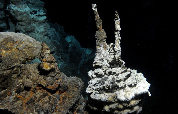 Ученые объявили об обнаружении недостающего звена эволюции