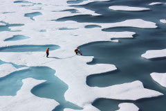 Администрация президента США разрешила добывать нефть на Аляске