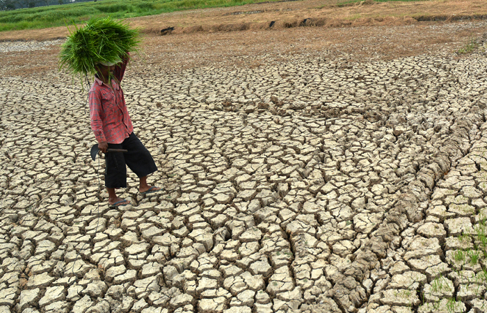 Фермеры и трейдеры оценили последствия активизировавшегося Эль-Ниньо