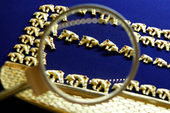 Рада потребовала от парламента Нидерландов вернуть золото скифов