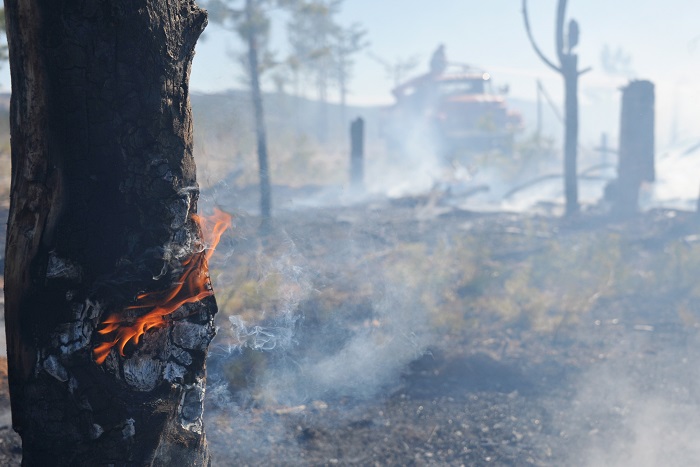 Площадь пожаров в Приамурье за сутки увеличилась почти в 20 раз