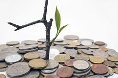 Доллар вырос до 53 рублей