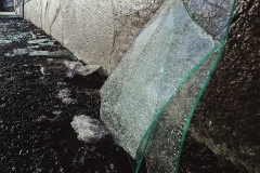 В Ростове-на-Дону неизвестные забросали камнями и яйцами здание генконсульства Украины