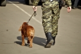 В минобороны ДНР не подтвердили задержание украинскими пограничниками грузовика с оружием