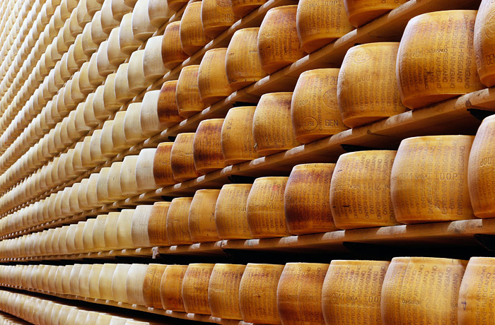 Под Белгородом уничтожили девять тонн санкционного сыра