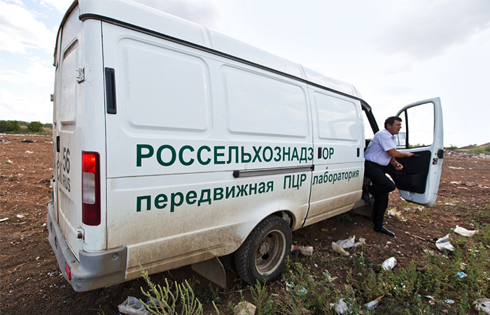 Россельхознадзор констатировал сокращение ввоза продуктов из ЕС