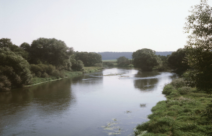 Четверо погибших обнаружили после крушения вертолета и гидросамолета в Подмосковье