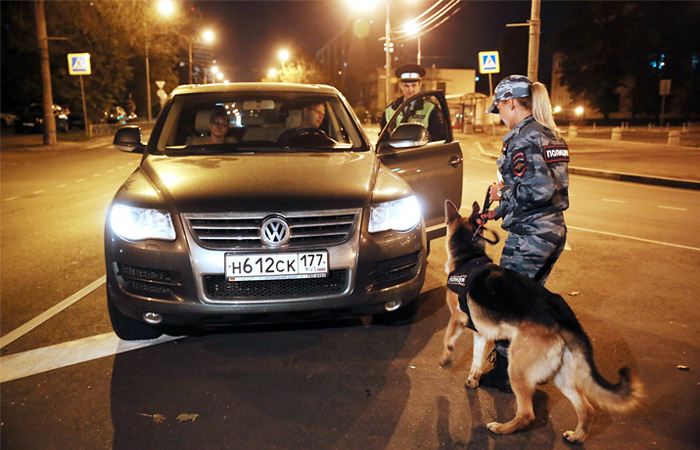 Ловись, рыбка…