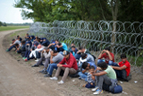 Германия отказалась продать Венгрии сетку для забора на границе