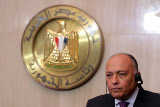 Глава МИД Египта заявил о способности России остановить терроризм