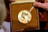 Нобелевская премия по медицине присуждена за борьбу с паразитами и малярией