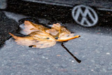 Standard & Poor’s снизило рейтинги Volkswagen на фоне "дизельного скандала"