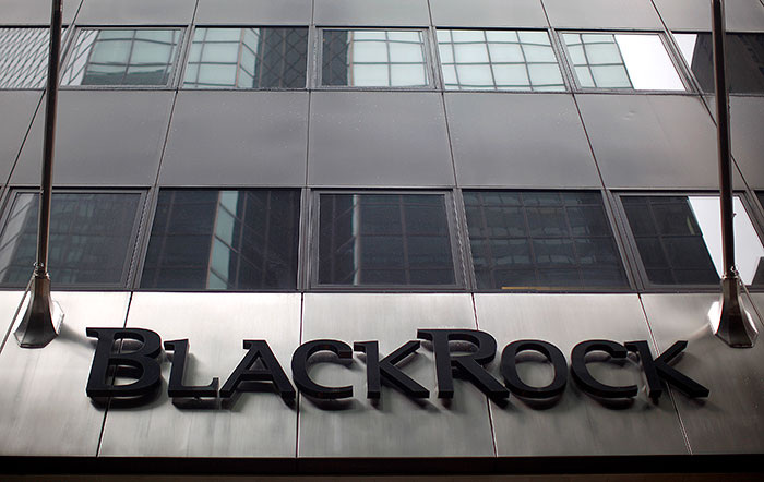    BlackRock     IPO