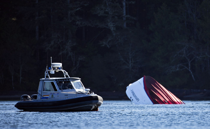 Кит стал причиной гибели пяти пассажиров круизного судна в Канаде