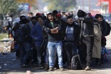 Греки устроили беспорядки на границе с Турцией