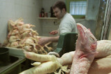 РФ с 1 декабря запретила поставки курятины с турецкого предприятия