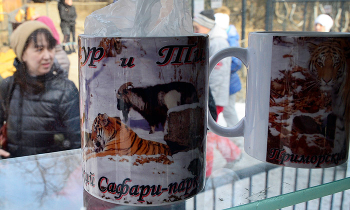 Тигр Амур и козел Тимур завели страницы в инстаграме и фейсбуке