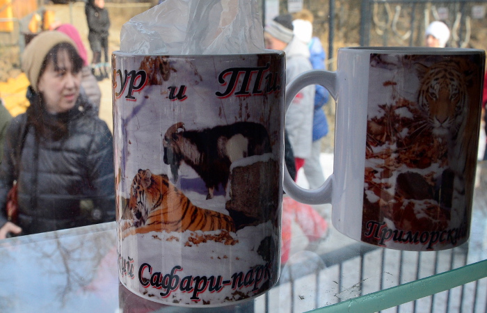 О дружбе тигра Амура и козла Тимура снимут мультфильм