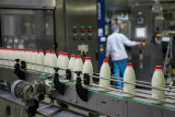 Danone объявила о закрытии молочных заводов в Томске и Чебоксарах