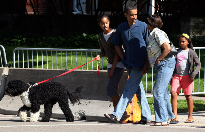 Арестован планировавший похитить собак Обамы преступник