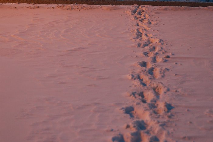 Похищенную в ЕАО девочку полиция нашла в Приамурье