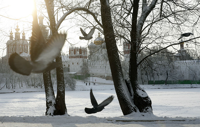Синоптики пообещали москвичам в ночь на понедельник минус 24 градуса
