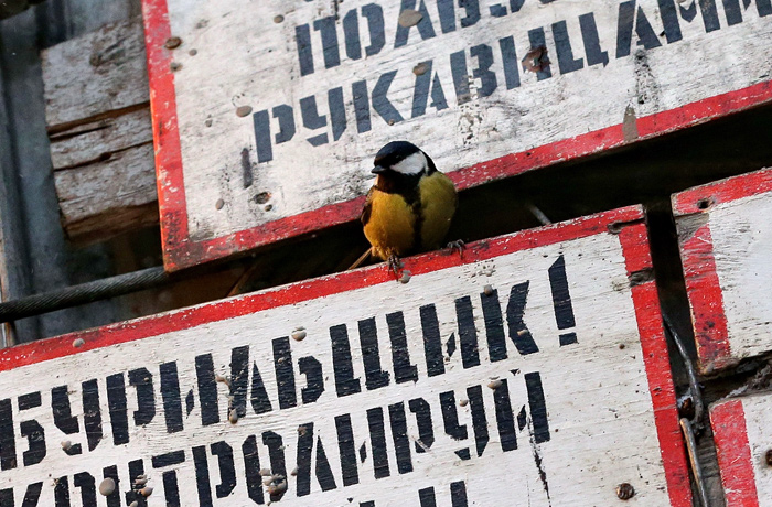 Нефтяники попросили Минэнерго оставить отрасль в покое