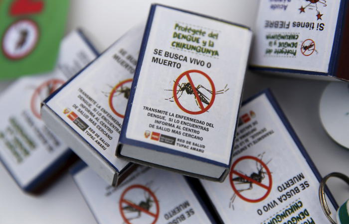 ВОЗ объявила вирус Зика угрозой мирового масштаба