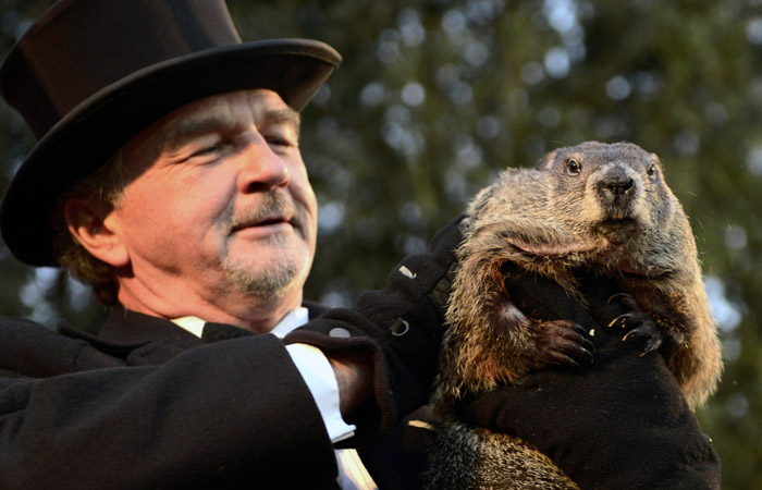 Американский сурок Фил предсказал раннюю весну