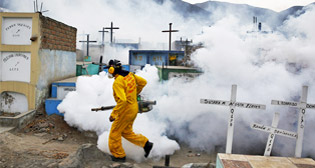 Вспышка лихорадки Зика