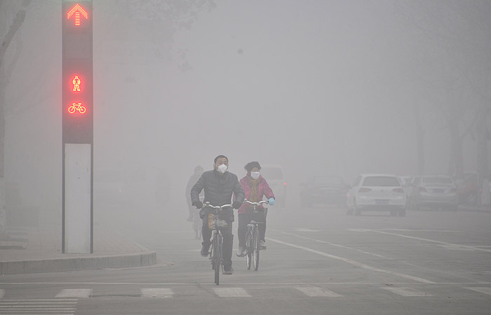 Ученые посчитали количество погибающих ежегодно в мире от плохой экологии