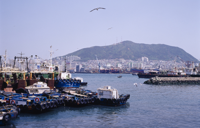 Моряки из РФ и Украины задержаны на год в корейском порту без зарплаты