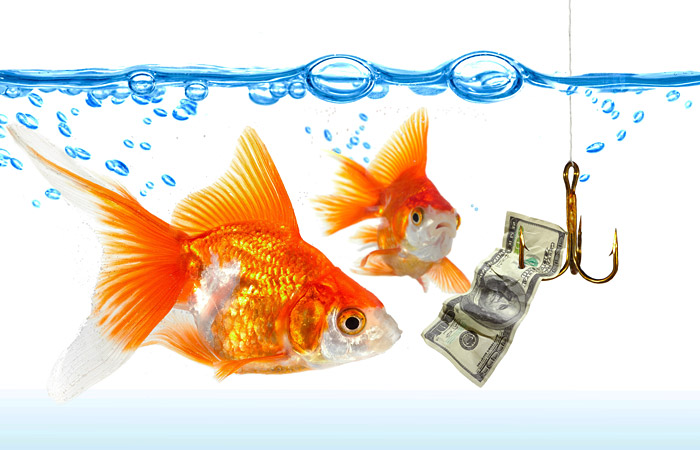 Доллар впервые с 6 января упал ниже 74 рублей