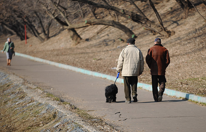 Синоптики пообещали ясную погоду на смену дождям ко вторнику