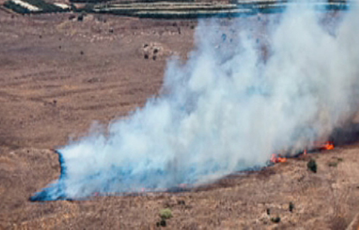 Сбитый в районе Алеппо самолет принадлежал сирийским ВВС