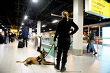 Аэропорт Амстердама частично эвакуирован по соображениям безопасности
