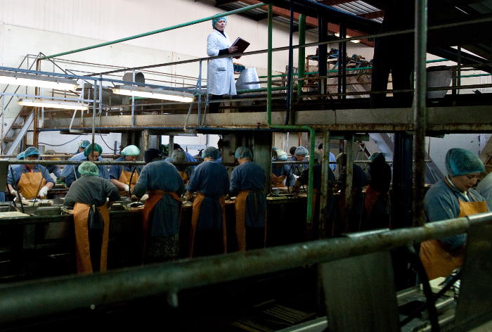 Прокуратура проверит связанное с комбинатом "Островной" кадровое агентство