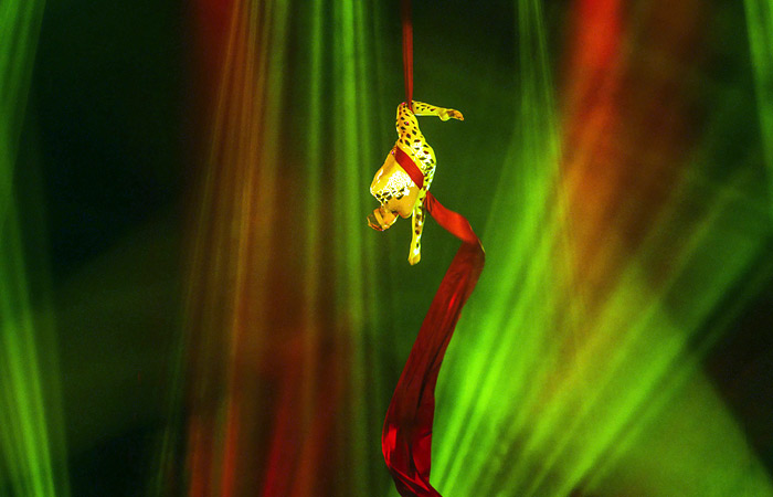 В цирке только девушки