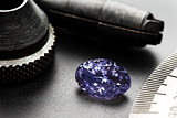 На выставке в Австралии покажут крупнейший в мире фиолетовый бриллиант
